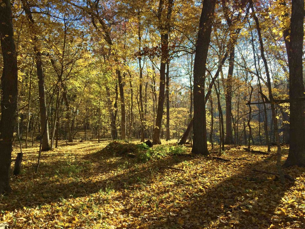 Amana Colonies Nature Trail in fall season Amana Colonies Nature Trail in fall season